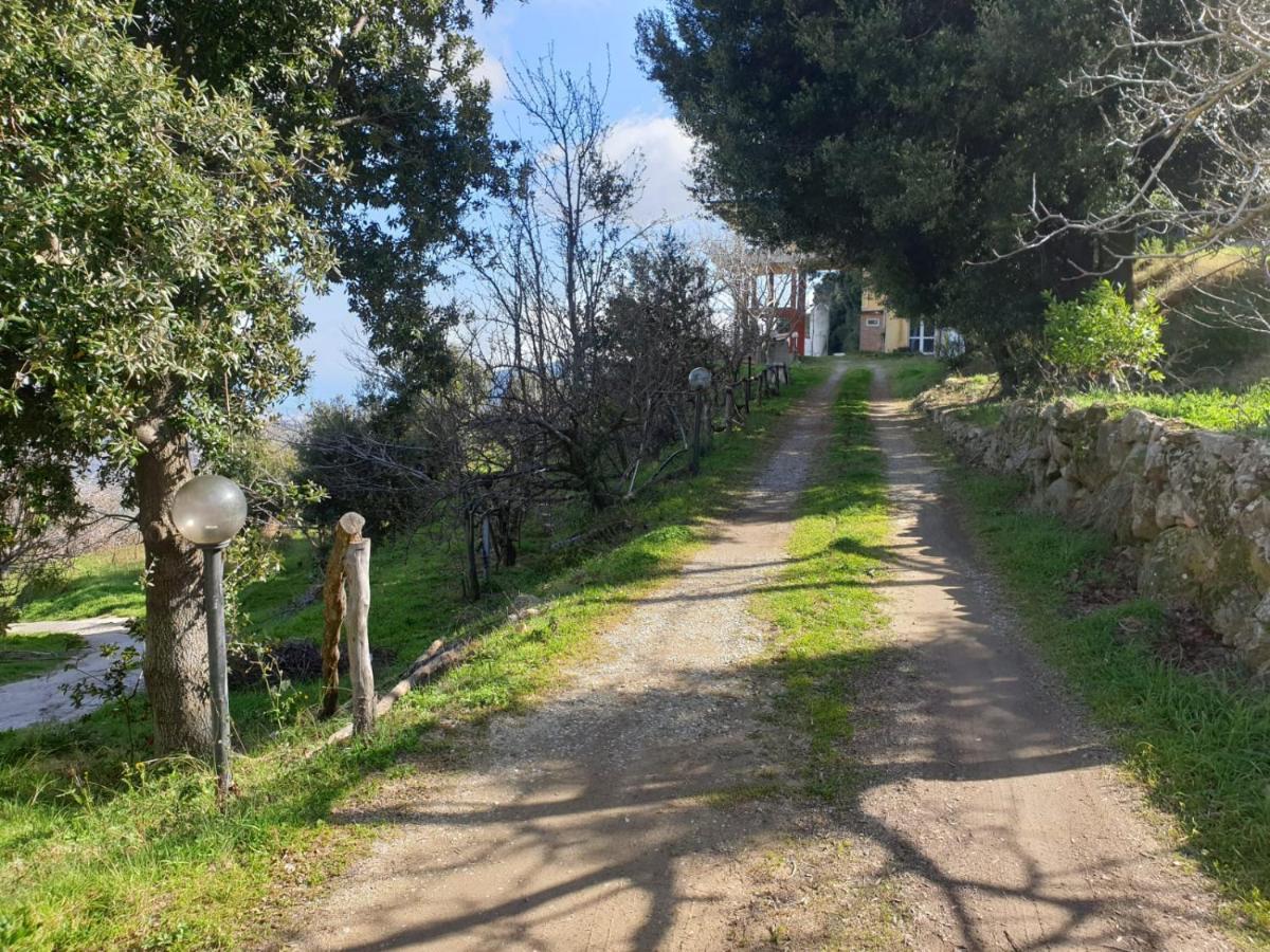 Oasi Del Benessere Ilbono Exterior foto