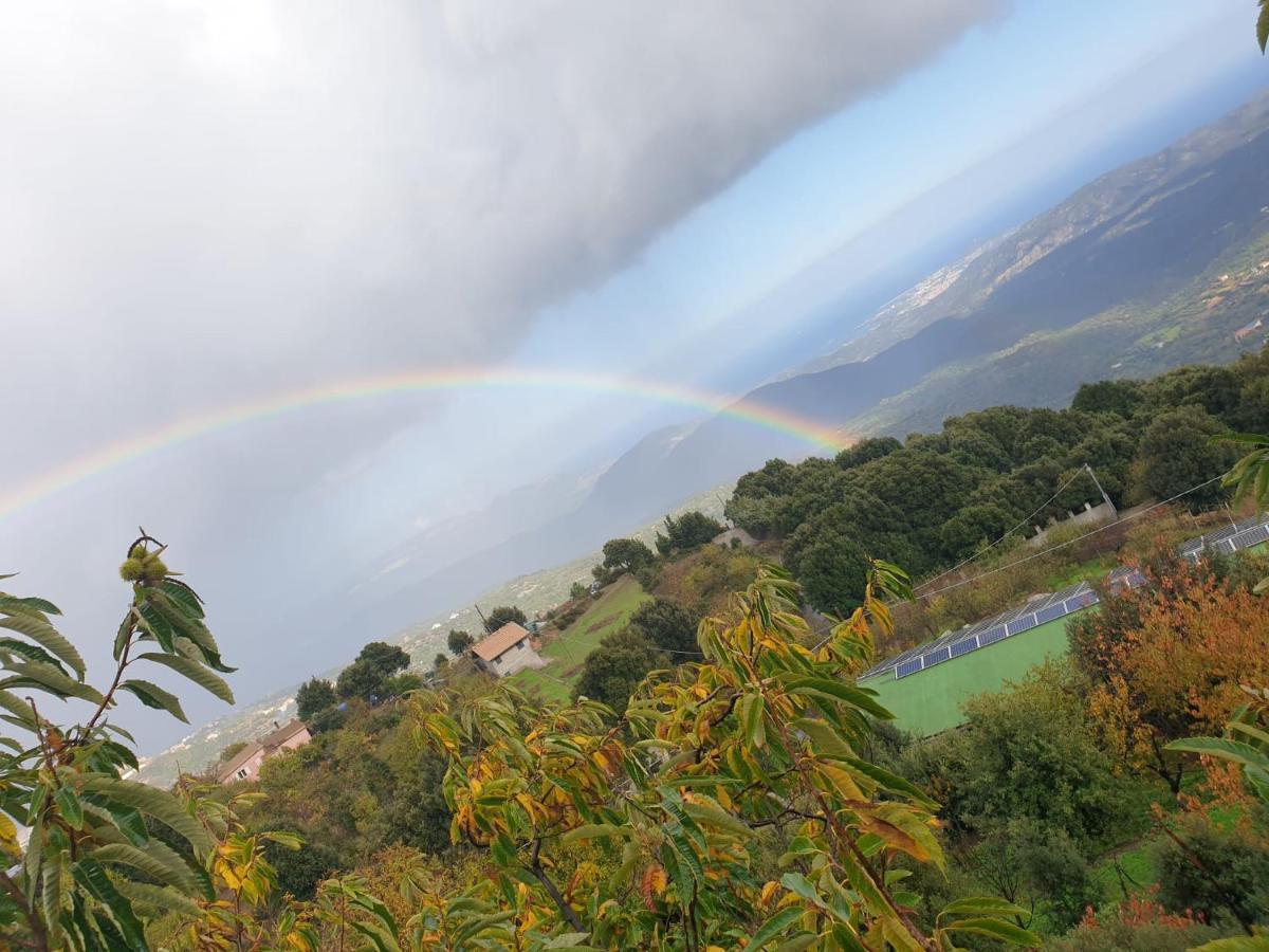 Oasi Del Benessere Ilbono Exterior foto