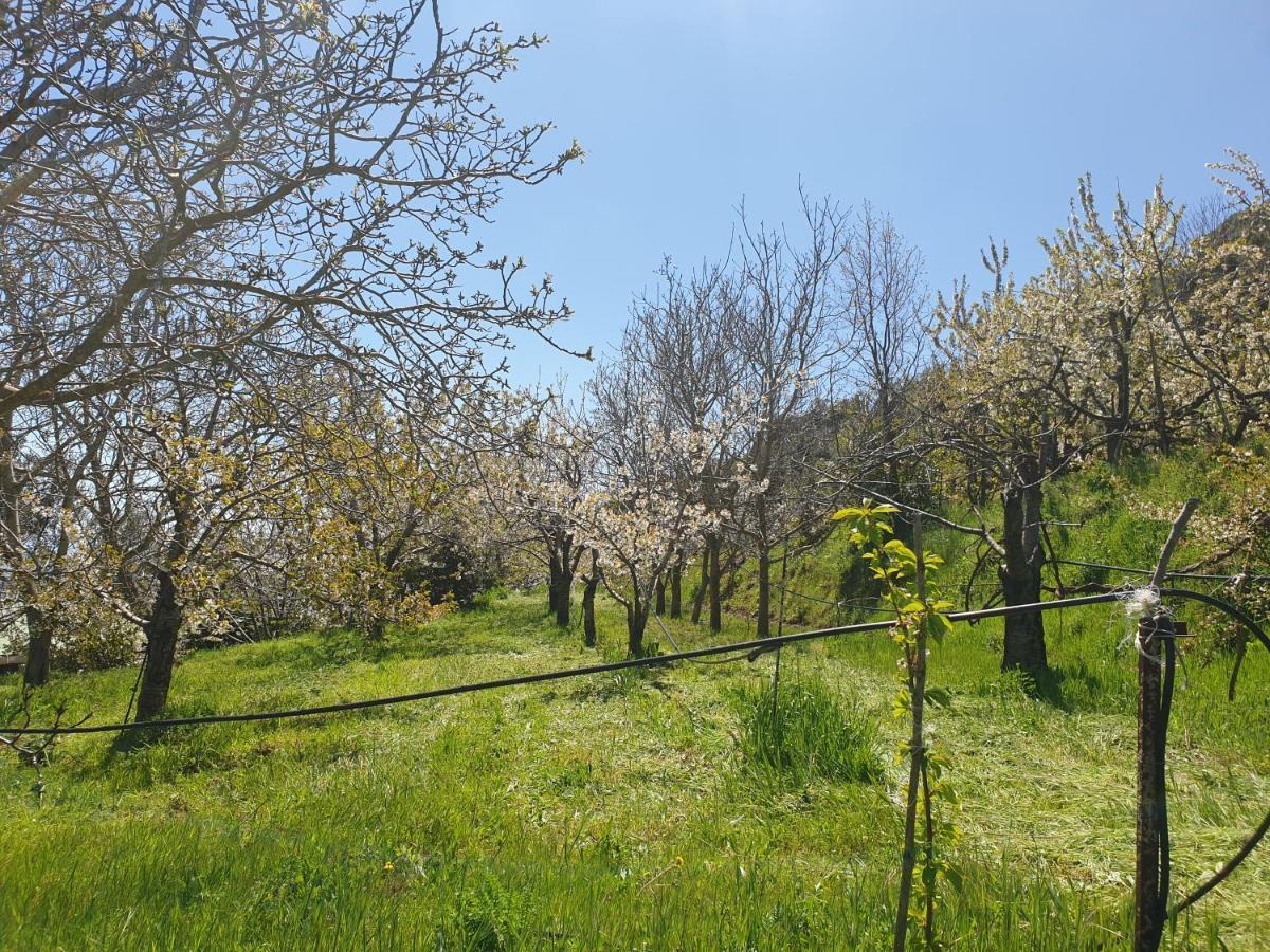 Oasi Del Benessere Ilbono Exterior foto