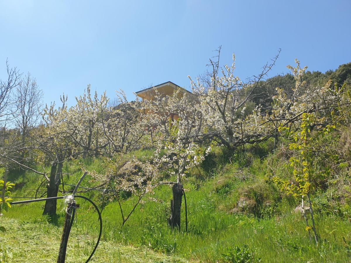 Oasi Del Benessere Ilbono Exterior foto